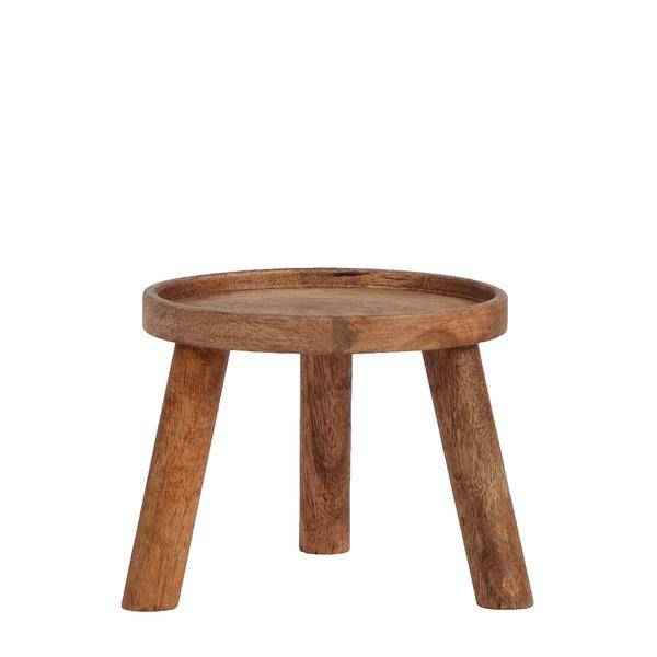 Image of Pflanzenständer Holz Ø12cm Zimmerpflanze Ø12cm ↕10,5cm – pflegeleichte Grünpflanze für Wohnzimmer, Büro & helle Standorte kaufen-0
