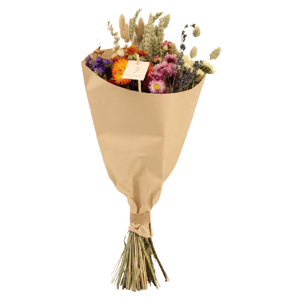 Image of Trockenblumen Feldblumenstrauß Multi Ø20cm ↕50cm – dekorativer Trockenblumenstrauß für Vase, Tischdeko, Wohnzimmer & Geschenkidee-0