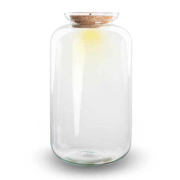 Image of Flaschengarten Terrarium Flasche + LED in Kork ↕43cm – pflegeleichter Flaschengarten im Glas, Pflanzen Terrarium für Wohnzimmer & Büro-1