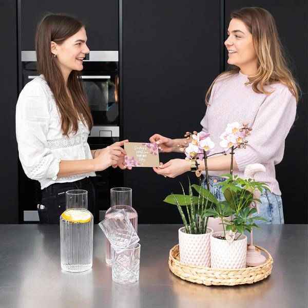 Image of Dekorative Schale Zimmerpflanze Ø30cm – pflegeleichte Grünpflanze für Wohnzimmer, Büro & helle Standorte kaufen-1