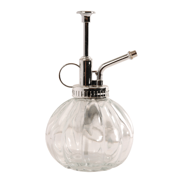 Image of Pflanzensprüher Glas Klar/Silber – Ø8,8cm – ↕15,4cm – 0,25L – Handsprüher mit feinem Sprühnebel – Blumensprüher für Zimmerpflanzen & Orchideen-0