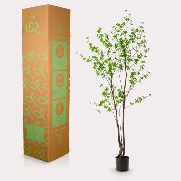 Image of Kunstpflanze Tropaeolum speciosum – Ostindische Kirsche – 210cm – Realistischer Kunstbaum – Pflegefrei – Für Büro, Wohnzimmer & Wintergarten – Look-3