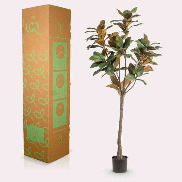 Image of Kunstpflanze Magnolia Grandiflora ↕150cm – künstliche Grünpflanze für Wohnzimmer, Büro, Flur & pflegeleichte Deko-2