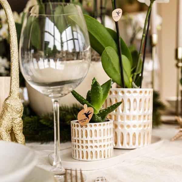 Image of Mosaik Ziertopf – Ø9cm – Eleganter Blumentopf mit goldenen Mosaikdetails – Pflanztopf für Sukkulenten & kleine Pflanzen