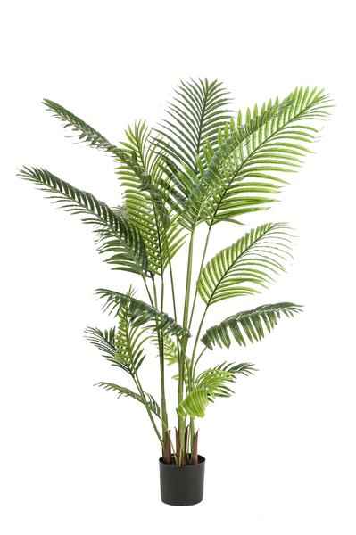 Image of Kunstpalme Howea forsteriana – 160cm – Realistische Kentia – Palme – Pflegefrei – Hypoallergen – Für Wohnzimmer, Büro & Wintergarten – Highlight-0