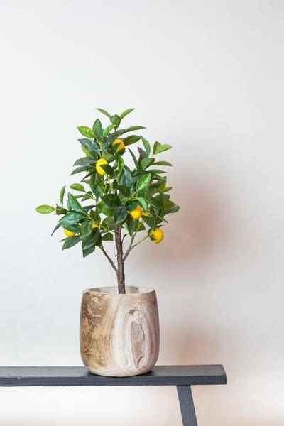 Image of Kunstpflanze Citrus Limonia – Zitronenbaum – 72cm – künstlicher Baum mit realistischen Blättern & Früchten – Deko-Pflanze für Zimmer & Büro