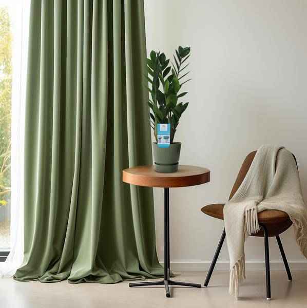 Image of Glücksfeder Zamioculcas Zamiifolia Zimmerpflanze Ø14cm ↕55cm – pflegeleichte Grünpflanze für Wohnzimmer, Büro & helle Standorte kaufen-3