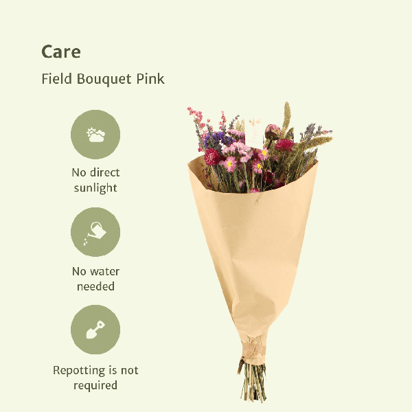 Image of Trockenblumen Feldblumenstrauß Rosa – Blumenstrauß – Ø25cm ↕60cm – Romantische Rosatöne – Pflegefrei – Natürliche Deko für Innenräume-2