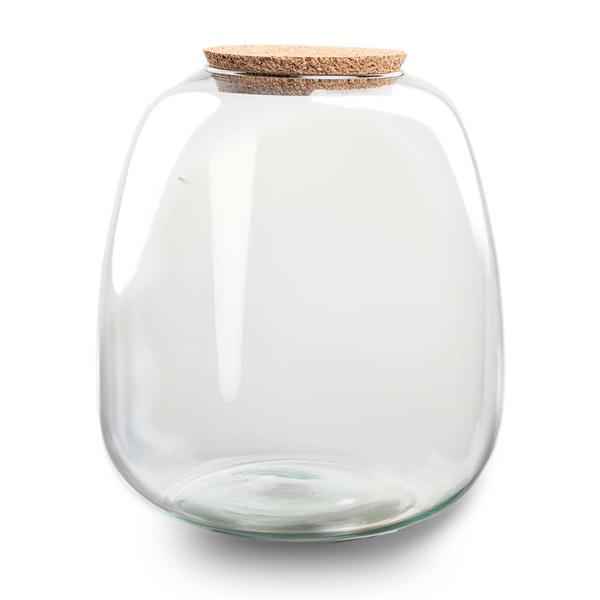Image of Terrarium Flasche Emma – Glasflasche 25x23cm – Dekoglas für Pflanzenterrarium, Flaschengarten & kreative Bepflanzungen – Deko-0