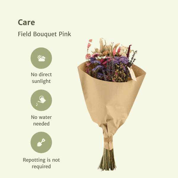 Image of Trockenblumenstrauß – Feldblumen Rosa – Ø20cm ↕50cm – Getrocknete Blumen – Romantisch & Natürlich – Dekostrauß für Innenräume-2