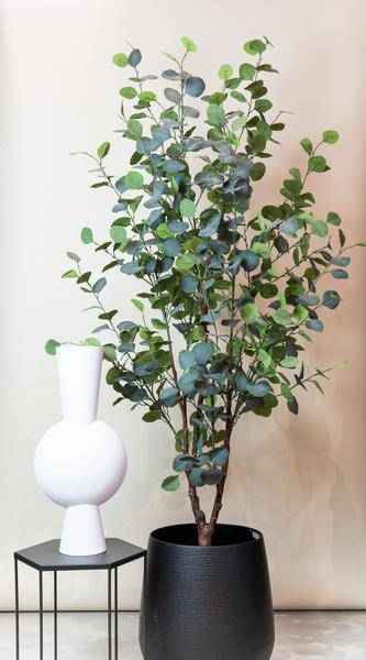 Image of Kunstpflanze Eukalyptusbaum Blauer Gummibaum ↕180cm – künstliche Grünpflanze für Wohnzimmer, Büro, Flur & pflegeleichte Deko-1