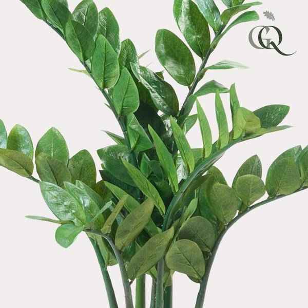 Image of Kunstpflanze Zamioculcas ↕70cm – künstliche Grünpflanze für Wohnzimmer, Büro, Flur & pflegeleichte Deko-2