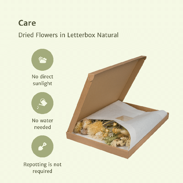 Image of Trockenblumen im Briefkasten – Natur – Getrockneter Blumenstrauß – Beige, Weiß & Rosa – langlebig & pflegefrei – Geschenkidee – 25-30cm-2