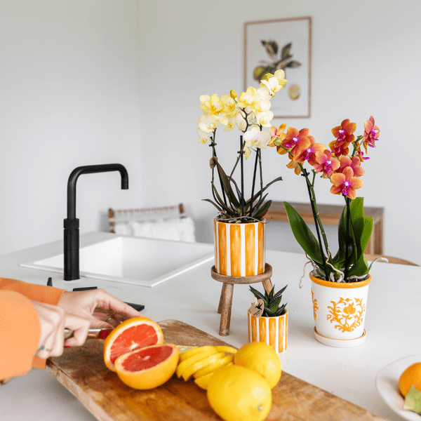 Image of Dekotopf Keramik – Blumentopf Bemalter Streifen Orange – Ø9cm – Modernes Pflanzgefäß für Zimmerpflanzen & Deko-2