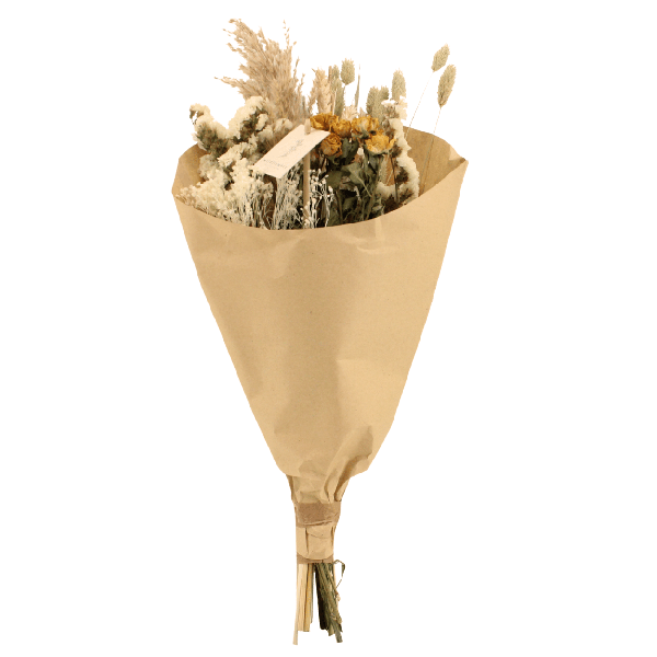 Image of Trockenblumenstrauß – Feldblumen Natürlich – Ø20cm – 50cm hoch – Getrocknete Blumen & Graswedel – Natürliche Beigetöne & Weiß-0
