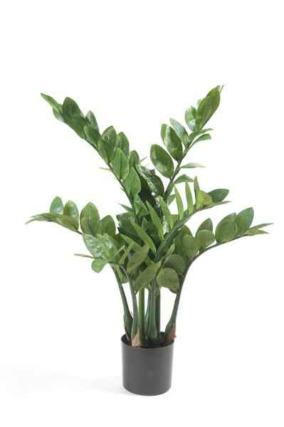 Image of Kunstpflanze Zamioculcas ↕70cm – künstliche Grünpflanze für Wohnzimmer, Büro, Flur & pflegeleichte Deko-0