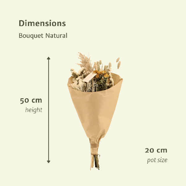 Image of Trockenblumenstrauß – Feldblumen Natürlich – Ø20cm – 50cm hoch – Getrocknete Blumen & Graswedel – Natürliche Beigetöne & Weiß-1