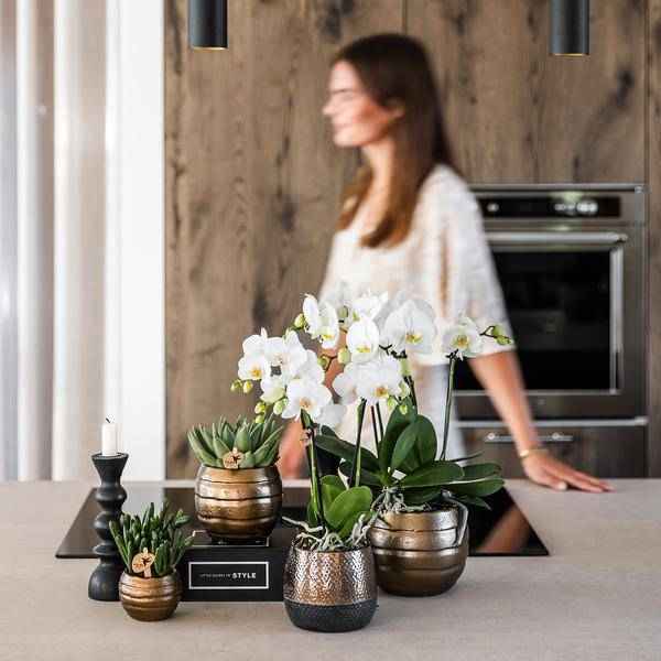Image of Blumentopf Elite Kupfer – Ø9cm – Moderner Keramik Übertopf – Dekorativer Pflanztopf für kleine bis mittelgroße Zimmerpflanzen – Stilvolle Innendeko-3