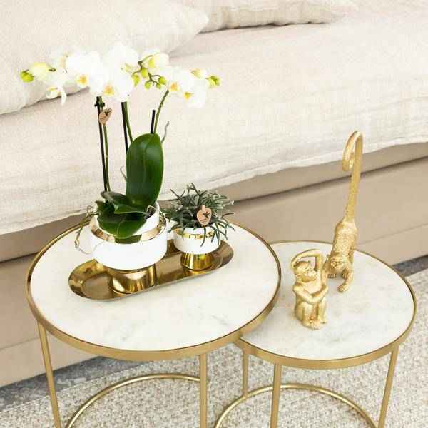 Image of Ovales Tablett – Gold – Metalltablett 30x13cm – Dekoteller für Pflanzen, Töpfe & Wohnaccessoires – Stilvolle Ablage für Orchideen & Deko – Sets-4
