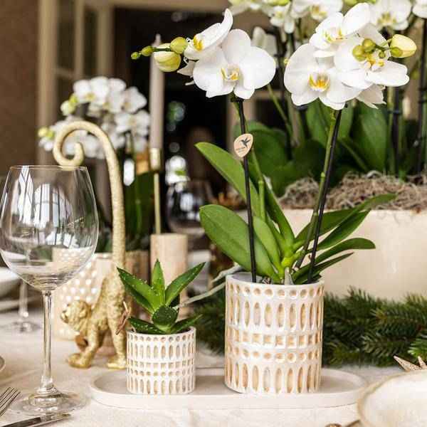 Image of Dekotopf Mosaik – Ø6cm – Blumentopf mit goldenen Mosaikdetails – Stilvoller Mini Pflanztopf für Sukkulenten & kleine Pflanzen