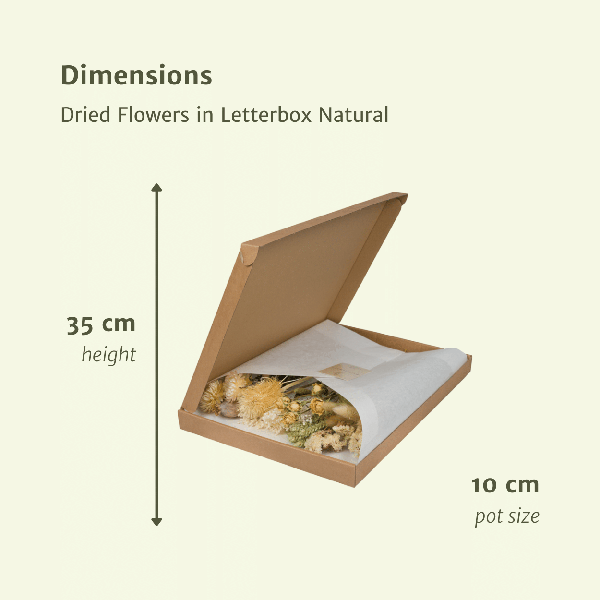 Image of Trockenblumen im Briefkasten – Natur – Getrockneter Blumenstrauß – Beige, Weiß & Rosa – langlebig & pflegefrei – Geschenkidee – 25-30cm-1