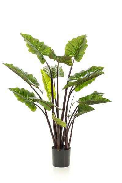 Image of Kunstpflanze – Colocasia Pink China – Elefantenohr – 130cm hoch – Realistische XL – Deko-Pflanze mit rosa Stielen & großen grünen Blättern-0