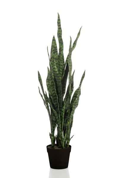 Image of Kunstpflanze Sansevieria Black Coral – Frauenzunge – 97cm – künstliche Pflanze mit realistischen Blättern – Deko-Pflanze für Zimmer & Büro