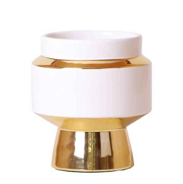 Image of Le Chic Blumentopf Zimmerpflanze Ø9cm mit dekorativem Übertopf – blühende Orchidee für Wohnzimmer, Büro & helle Standorte kaufen-0