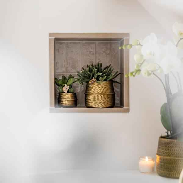 Image of Sukkulenten 2er – Set in goldenen Rillen – Keramiktöpfen – Ø9cm – Pflegeleichte Crassula Ovata & Crassula Hobbit – Zimmerpflanzen für Zuhause & Büro