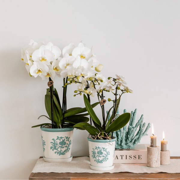 Image of Malaga Übertopf – Türkis – Ø9cm – Blumentopf aus Keramik im mediterranen Stil – Pflanztopf mit handgefertigter Optik – Stilvolle Zimmerdekoration-2