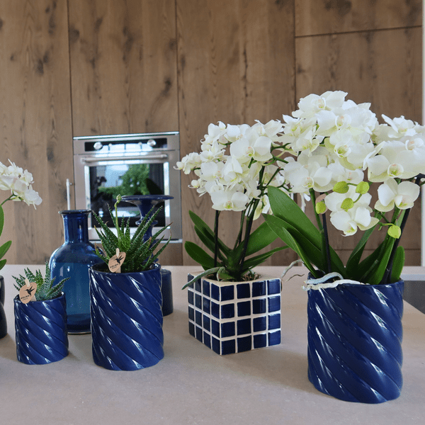 Image of Candy Dekotopf – Hoch – Blau – Ø6cm – Keramik Übertopf in Pastellblau – Stilvoller Blumentopf für Mini – Orchideen & Zimmerpflanzen – Pflanzentopf