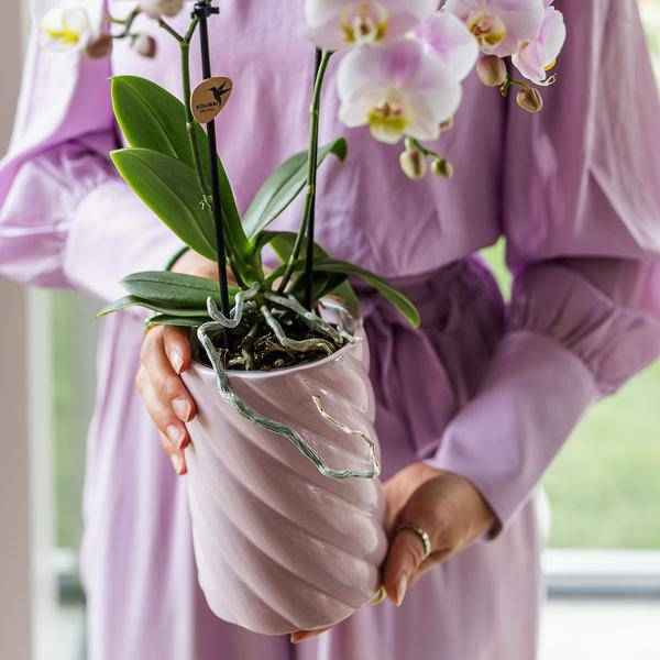 Image of Candy Dekotopf – Hoch – Rosa – Ø9cm – Keramik Übertopf – Runde Form – Farbenfrohes Design – Für Zimmerpflanzen & Orchideen-3