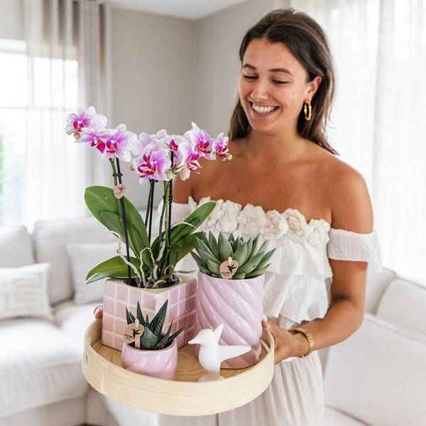 Image of Candy Dekotopf Rosa – Ø6cm – Runder Keramik Blumentopf – Mini Blumentopf für Orchideen & kleine Zimmerpflanzen – Dekoration für Zimmer & Büro