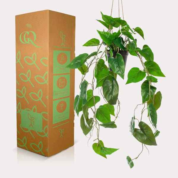 Image of Kunstpflanze Philodendron Hängepflanze ↕80cm – künstliche Grünpflanze für Wohnzimmer, Büro, Flur & pflegeleichte Deko