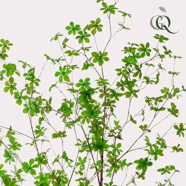 Image of Kunstpflanze Tropaeolum speciosum – Ostindische Kirsche – 210cm – Realistischer Kunstbaum – Pflegefrei – Für Büro, Wohnzimmer & Wintergarten – Look-2