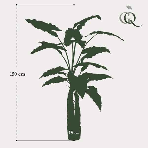 Image of Kunstpflanze Alocasia ↕150cm – künstliche Grünpflanze für Wohnzimmer, Büro, Flur & pflegeleichte Deko