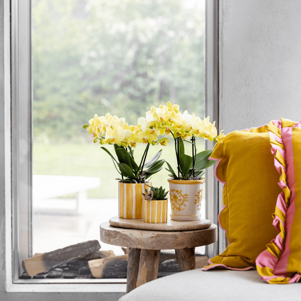 Image of Blumentopf Malaga – Gelb – Ø9cm – Dekorativer Keramiktopf im mediterranen Stil – Handgefertigte Optik – Ideal für Zimmerpflanzen & Sukkulenten