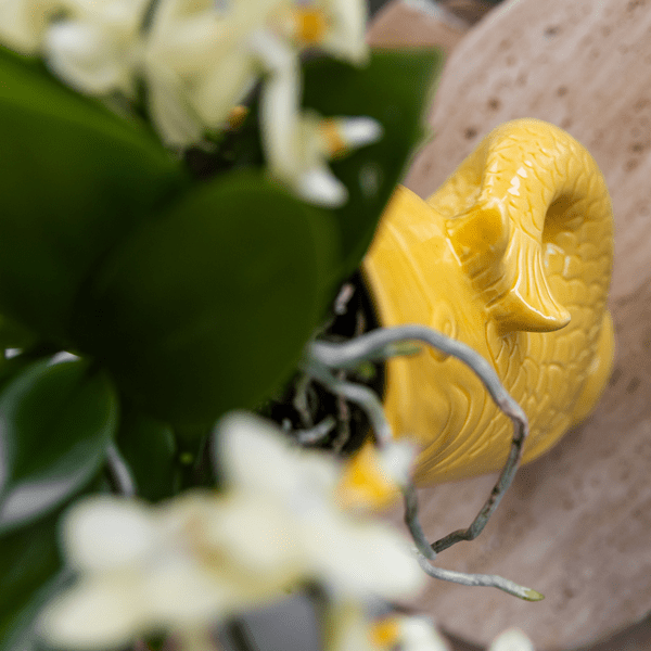 Image of Dekotopf Fish – Gelb – Ø9cm – Keramik Blumentopf in Fischform – Glänzende Oberfläche – Für Sukkulenten, Zimmerpflanzen & Kräuter-3