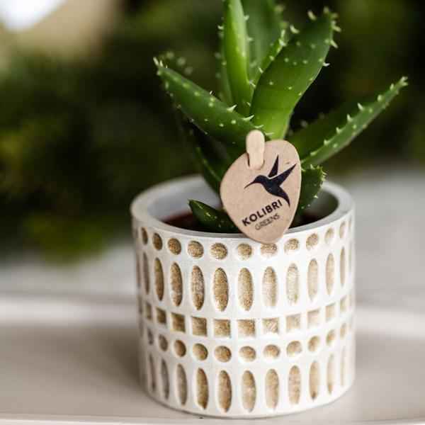 Image of Dekotopf Mosaik – Ø6cm – Blumentopf mit goldenen Mosaikdetails – Stilvoller Mini Pflanztopf für Sukkulenten & kleine Pflanzen