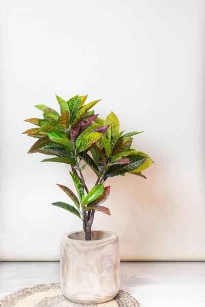 Image of Kunstpflanze Croton Codiaeum – Wunderstrauch – 95cm – künstliche Pflanze mit bunt gefärbten Blättern & Holzstamm – Deko-Pflanze für Zimmer & Büro-1