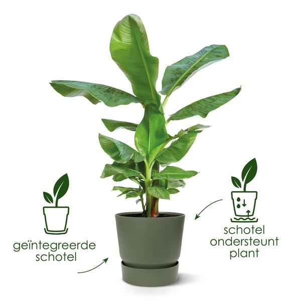 Image of Greenville Pflanztopf Schwarz – D24 x H23 – Blumentopf für Innen & Außen – Stilvolles Pflanzgefäß – Übertopf für Zimmer – & Gartenpflanzen-2