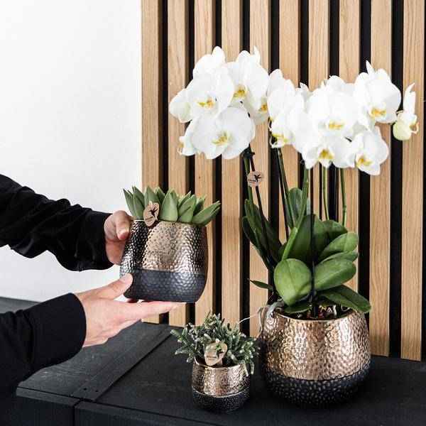 Image of Keramik Blumentopf Kupfer – Pflanztopf Ø12cm – Übertopf glänzend für Zimmerpflanzen, Wohnzimmer, Küche, Büro & Innenräume-2