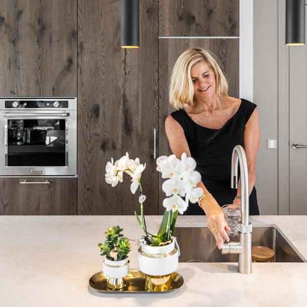 Image of Sukkulenten 2er – Set in eleganten Le Chic Keramiktöpfen – Ø9cm – Pflegeleichte Grünpflanzen – Weiß mit goldenen Details – Dekoratives Pflanzen-3
