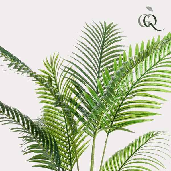 Image of Kunstpalme Howea forsteriana – 160cm – Realistische Kentia – Palme – Pflegefrei – Hypoallergen – Für Wohnzimmer, Büro & Wintergarten – Highlight-2