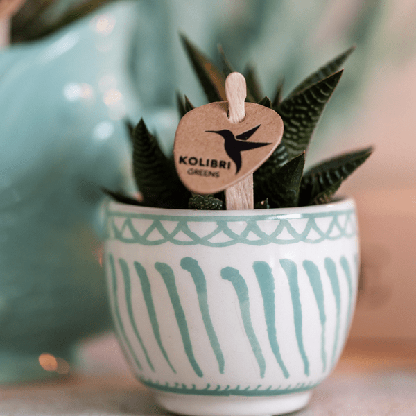Image of Topf Granada – Türkis – Ø6cm – Blumentopf aus glasierter Keramik im mediterranen Stil – Pflanzgefäß für Zimmerpflanzen, Sukkulenten & Kräuter-2