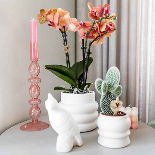 Image of Bubble Dekotopf – Weiß – Ø9cm – Keramik Blumentopf mit Struktur – Stilvoller Pflanzentopf für Sukkulenten, Kakteen & kleine Zimmerpflanzen-4