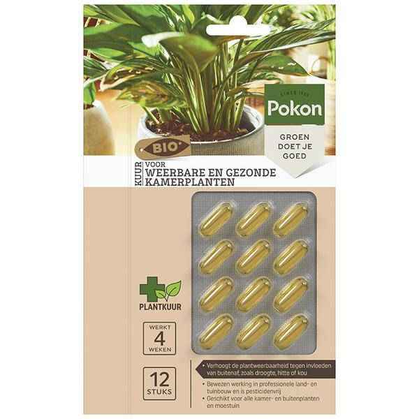 Image of Bio Cure Kapseln für widerstandsfähige und gesunde Zimmerpflanzen Zimmerpflanze – pflegeleichte Grünpflanze für Wohnzimmer, Büro-0