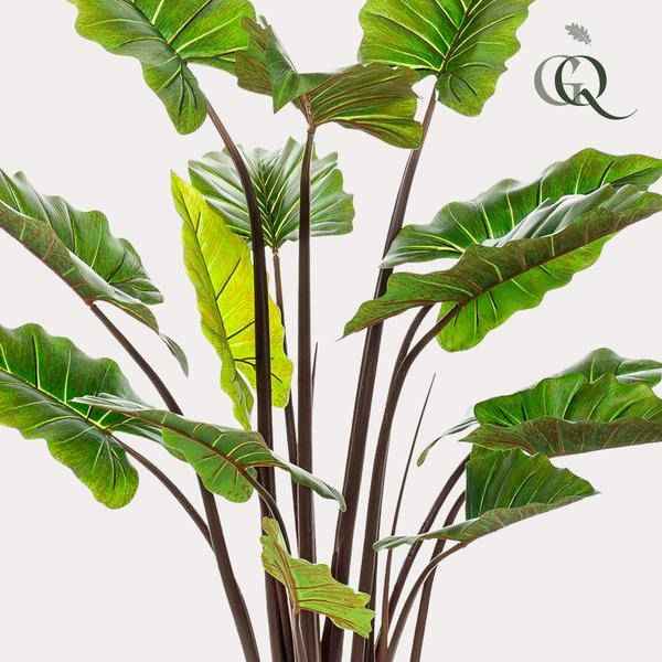 Image of Kunstpflanze – Colocasia Pink China – Elefantenohr – 130cm hoch – Realistische XL – Deko-Pflanze mit rosa Stielen & großen grünen Blättern-1