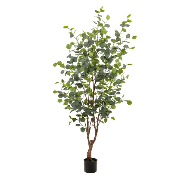 Image of Kunstpflanze Eukalyptusbaum – Blue Gum Tree – ca. 140cm hoch – Täuschend echt & pflegefrei – Für Wohnzimmer, Büro & dunkle Räume-0