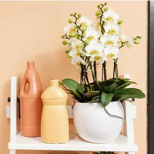 Image of Blumentopf Bowl – Weiß – Keramik – Ziertopf Ø9cm – Handgefertigter Übertopf mit Wellenrand – Für Zimmerpflanzen & Sukkulenten-1